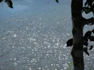 DSCF0093.webp