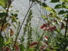 DSCF0099.webp