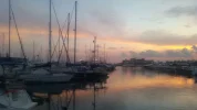026.webp