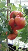 20170816_103837.webp