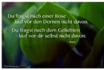 Rumi.webp