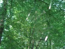 IMG_2140.webp