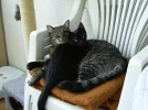 fotos alt 299.webp