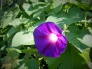 DSCF0478 (2).webp