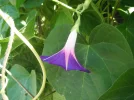 DSCF0484.webp