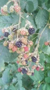 025.webp