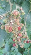 026.webp