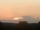 P8190240.webp