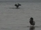 DSCN4590.webp