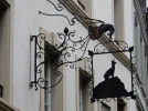 Fribourg 027.webp