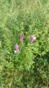 016.webp