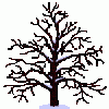 baum_0075.gif