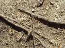 20170825_122639.webp