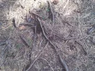 20170825_122743.webp
