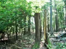 DSCF0601.webp