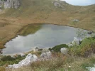 SDC16114.webp