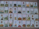 SAM_7209.webp