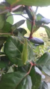 20170902_084800.webp