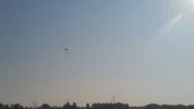 055.webp