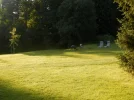 P8290271.webp