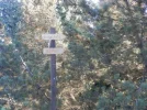 P8290268.webp