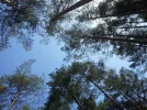 R589.webp