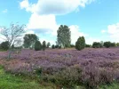DSCF2215 (2).webp