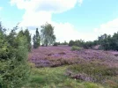 DSCF2216 (2).webp