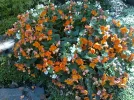 foto0522.webp