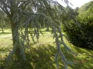P9100800.webp