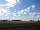 DSCN5492.webp