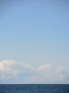 DSCN5500.webp