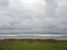 DSCN5507.webp