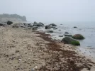DSCN5616.webp