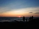 DSCN5247.webp