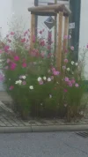 004.webp