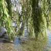 IMG_7669.webp