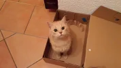 20170511_014447.webp