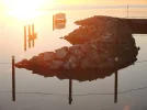 DSCN5360.webp