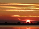 DSCN5373.webp