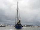 DSCN5451.webp