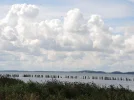 DSCN5466.webp