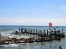 DSCN5488.webp