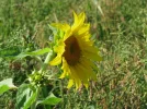 IMG_2240.webp
