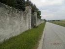 P9010657.webp