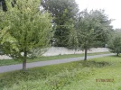 P9010671.webp