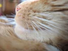 DSCN0708.webp