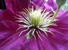 DSCN9472.webp