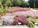 DSCF2330 (2).webp