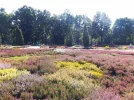 DSCF2328 (2).webp